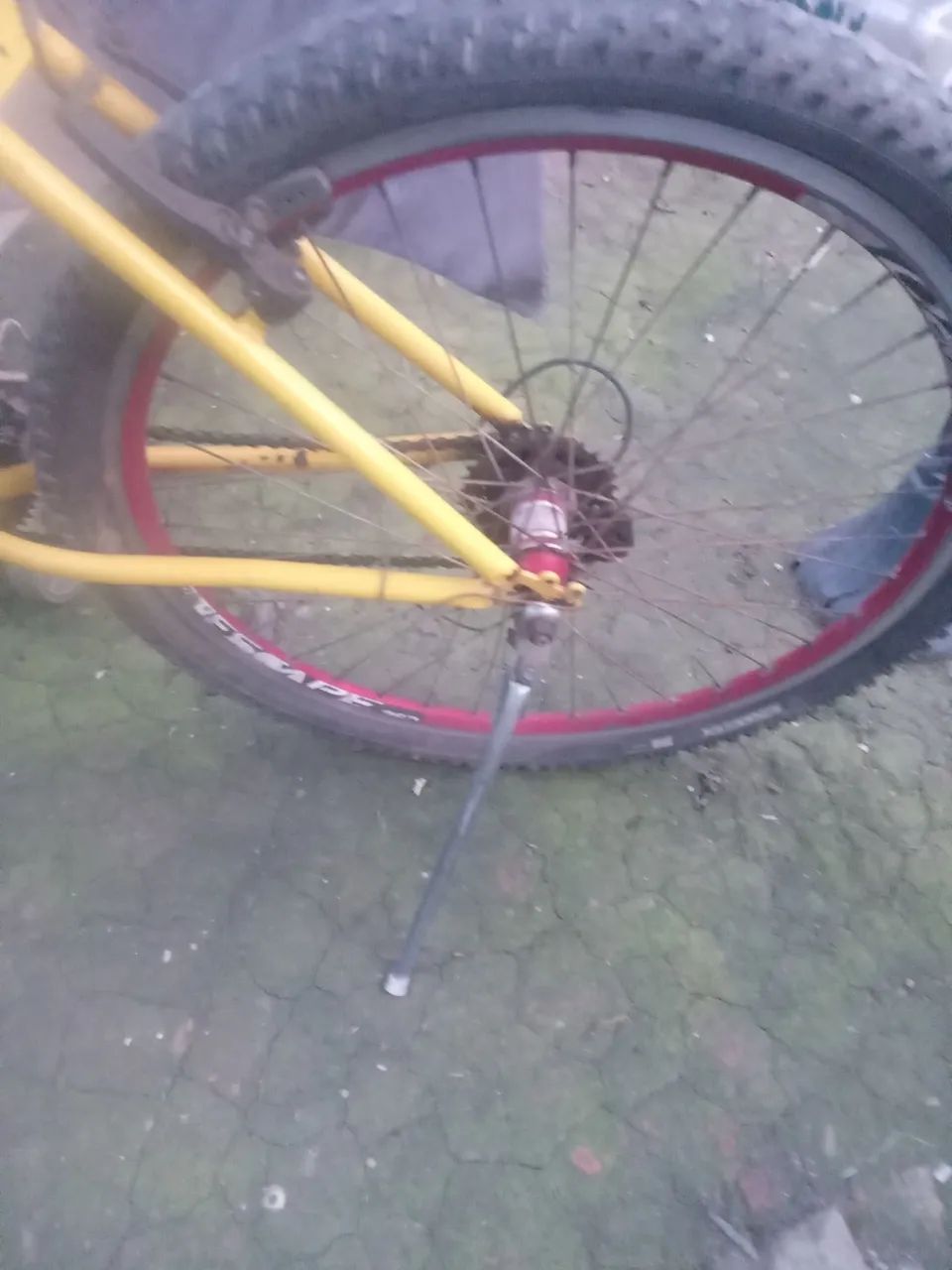 Vender - Foto 2