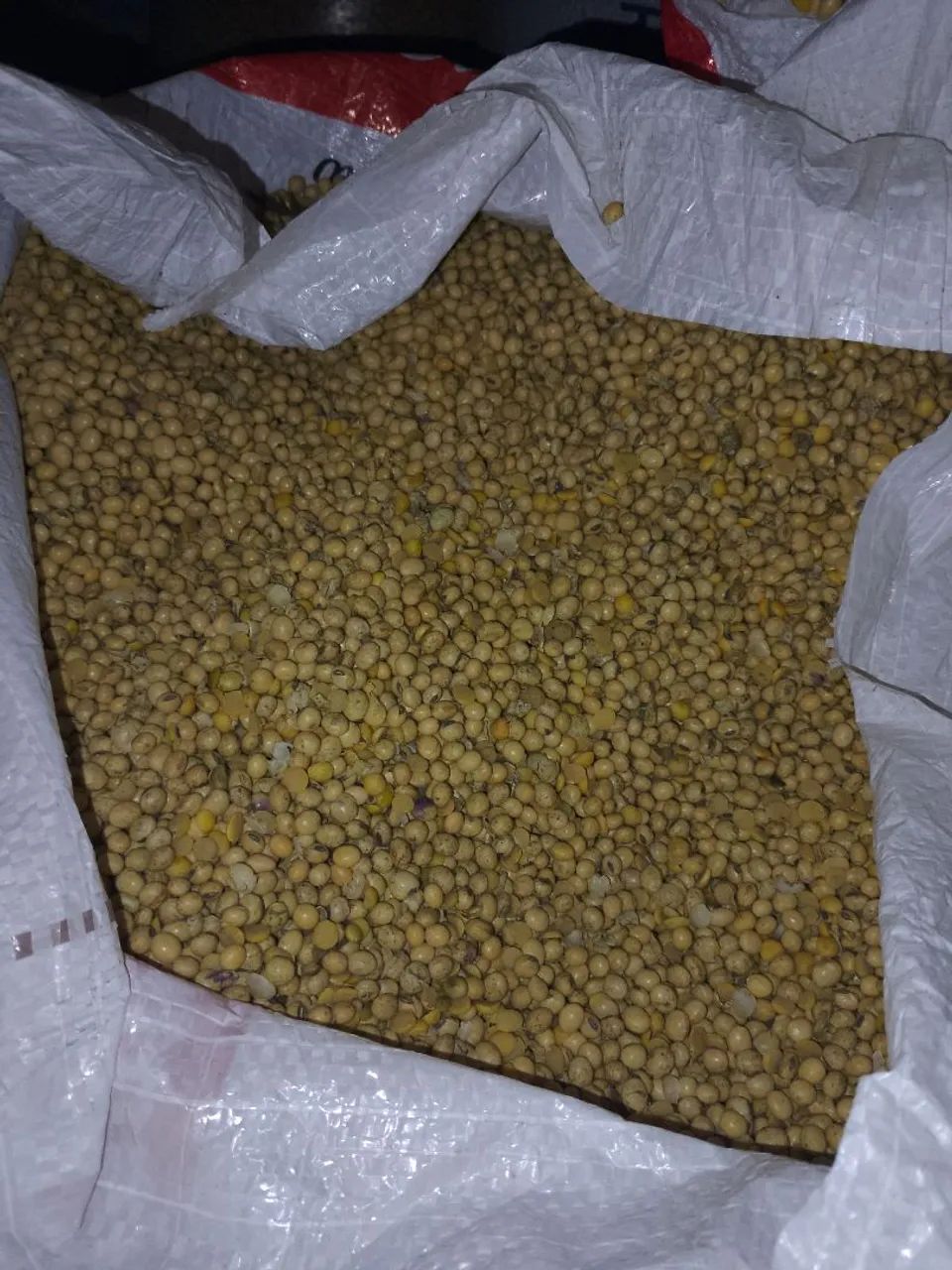 Soja em grãos  - Foto 2