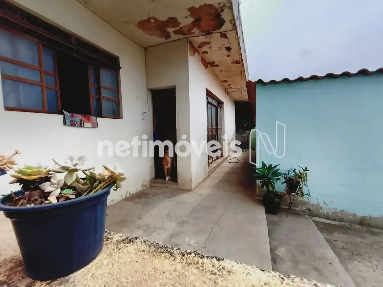 Venda Casa Caiçaras Belo Horizonte - Foto 3