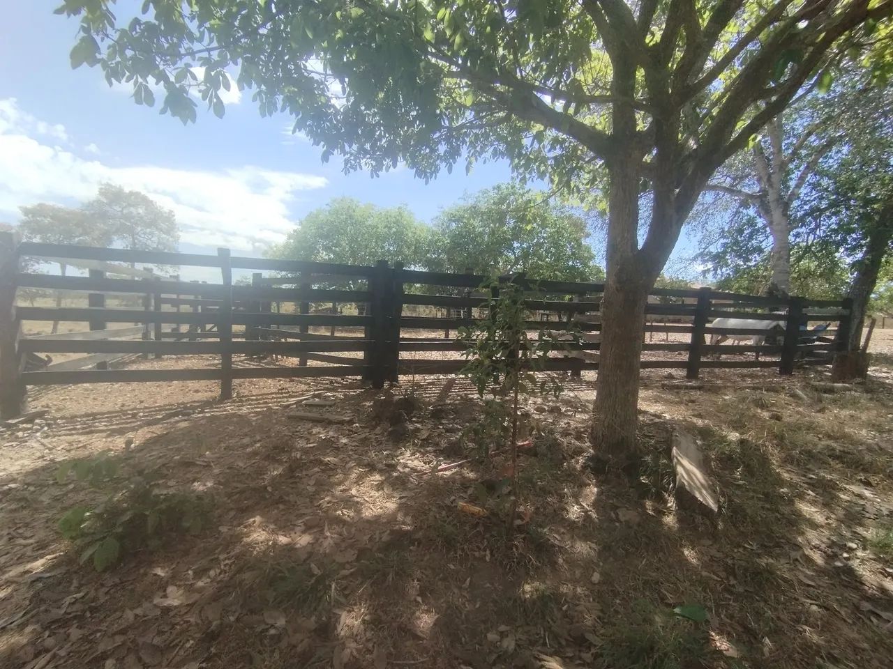 Chácara  - Foto 5