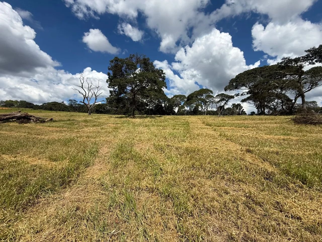 Terreno rural em itaguara  - Foto 3