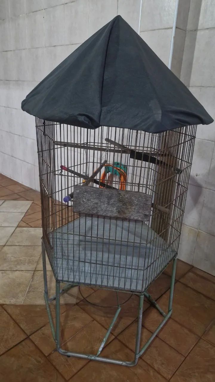 Viveiro para papagaio