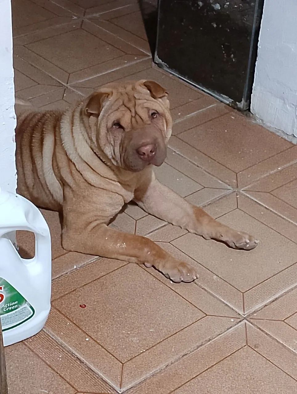 Doação  - Foto 4