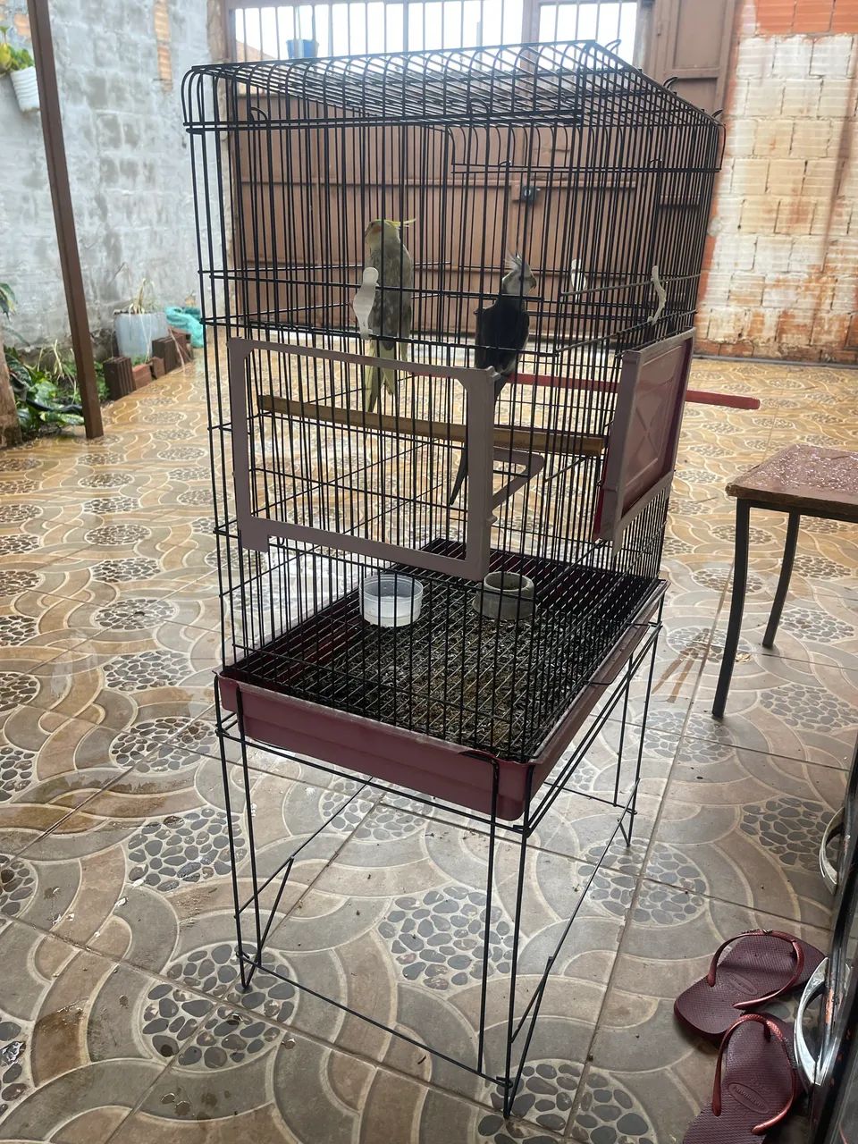 Gaiola grande  - Foto 4