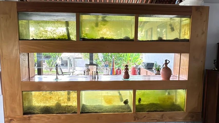 OPORTUNIDADE EM AQUÁRIOS USADOS! Tamanhos grandes, medidas diversas - Foto 2