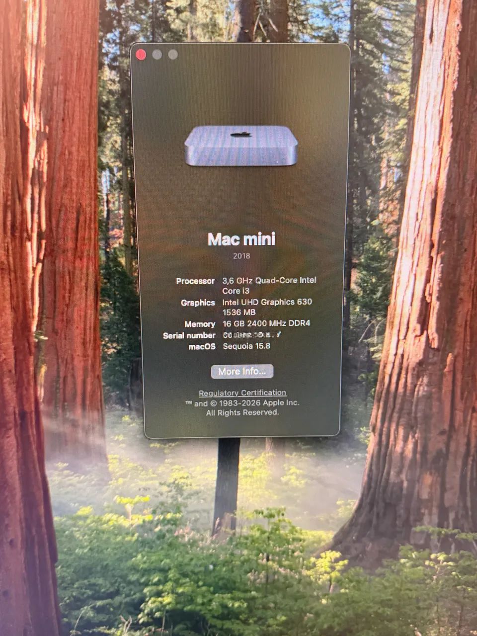 Mac Mini (2018) - Intel Core i3 - 16GB RAM - 256GB SSD - Excelente