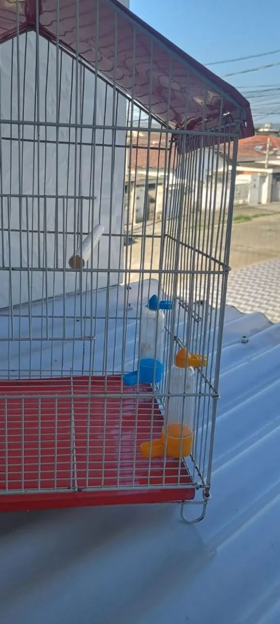 Gaiola  - Foto 2