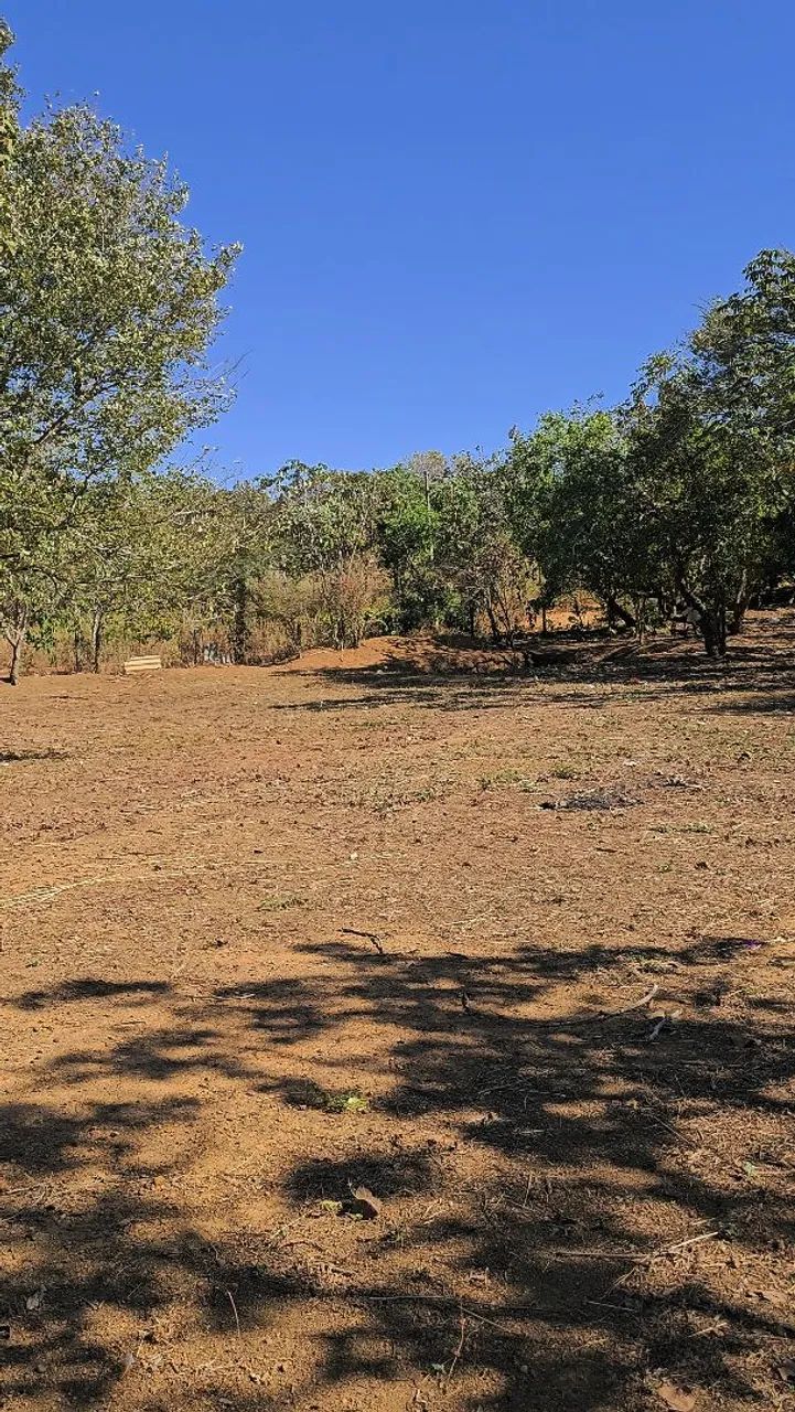 Lote 3600m² TO 010 Saida para Aparecida. Km 05 Pertinho. - Foto 3