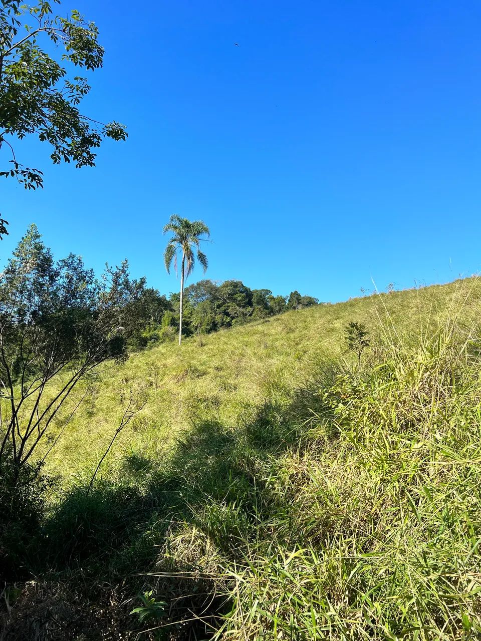 Sítio com pastagem pronto para construir  - Foto 4