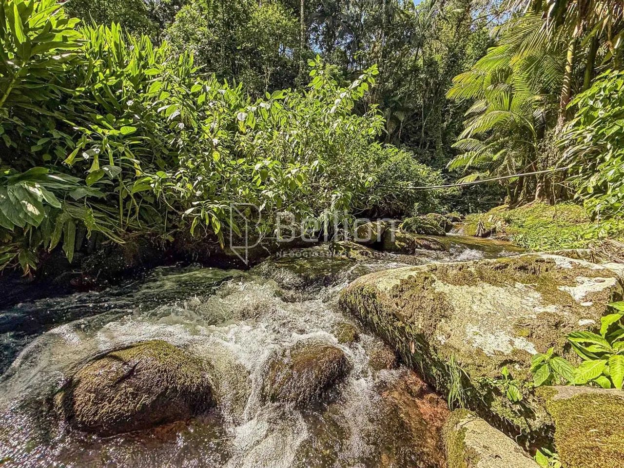 Sítio com lago e riacho em Rio dos Cedros - Foto 5