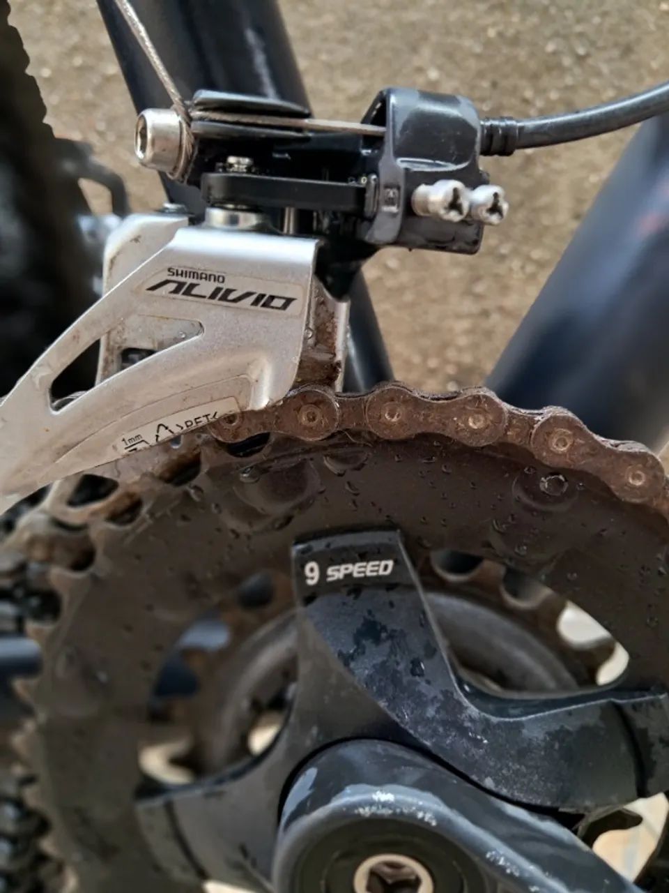 Bicicleta Oggi - Foto 2
