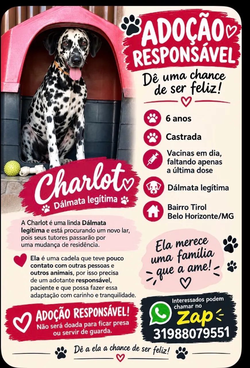 Doando Dalmata legítima 