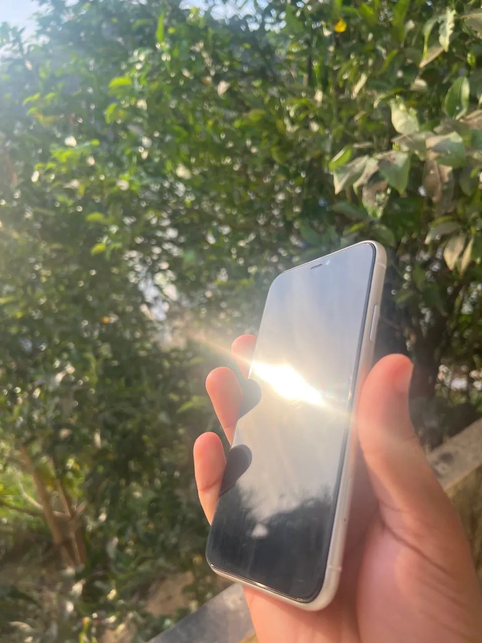 iphone 11 - Foto 4
