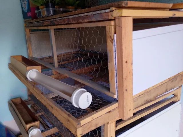 Gaiola para Codorna - Foto 2