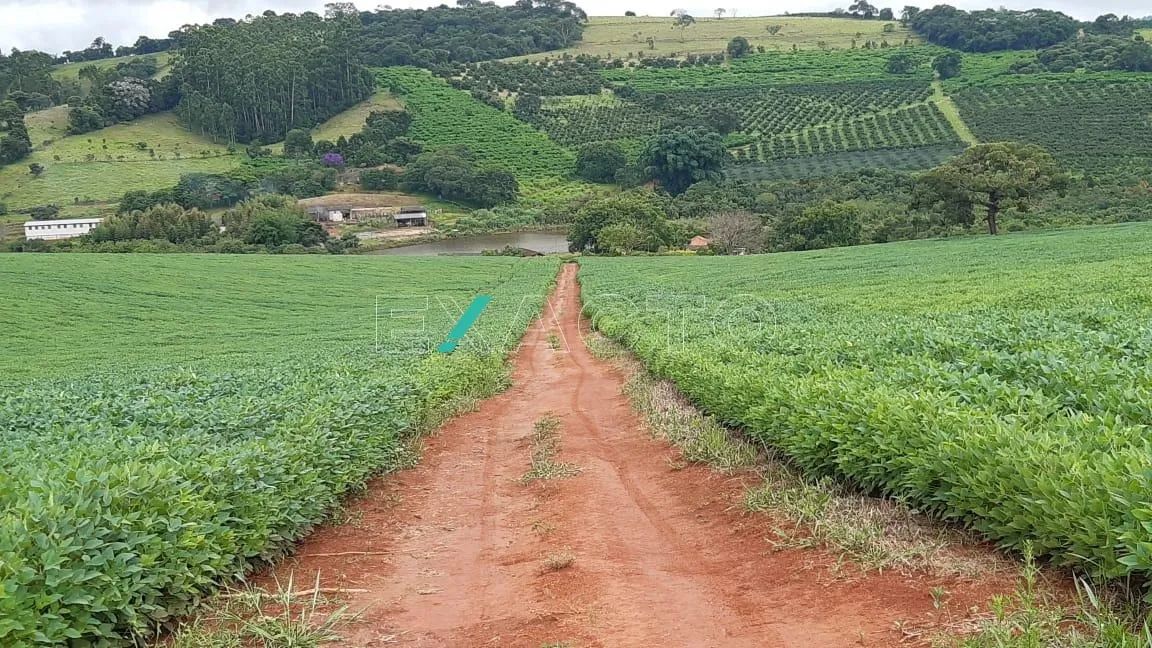 fazenda - Centro - Pouso Alegre - Foto 5
