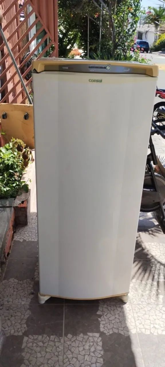 Geladeira potência 220