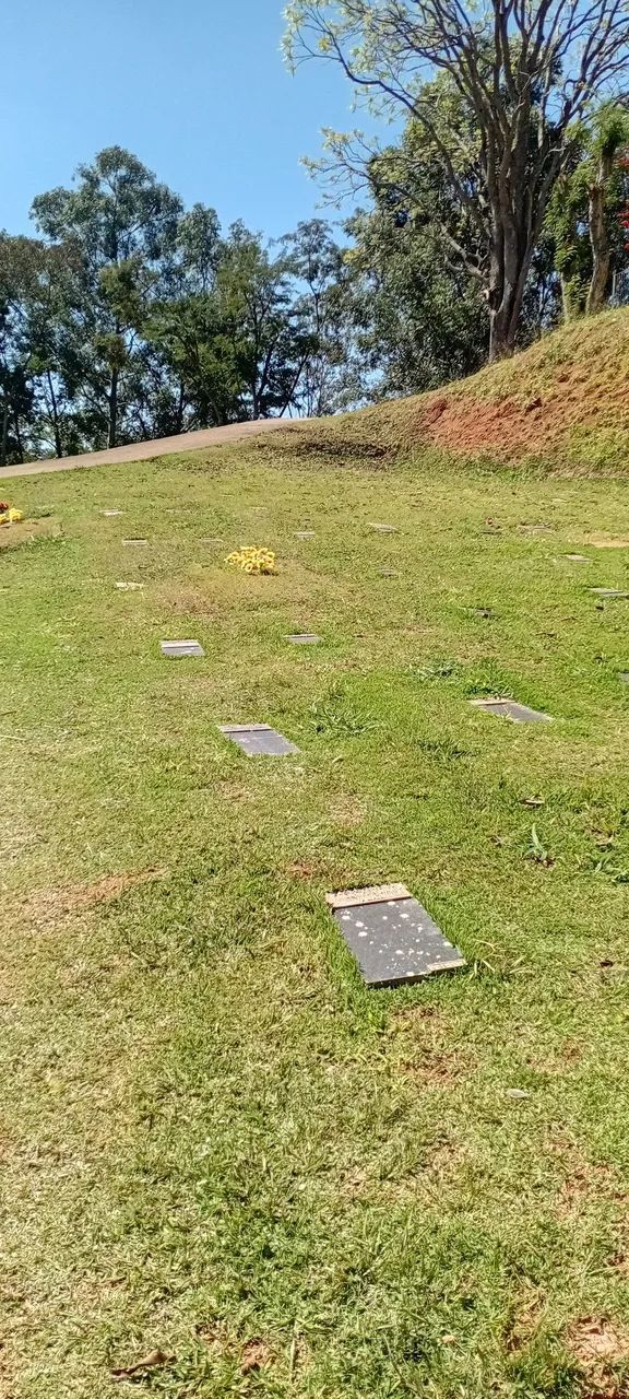 JAZIGO PERPÉTUO NO CEMITÉRIO PARQUE DA SAUDADE.  - Foto 3