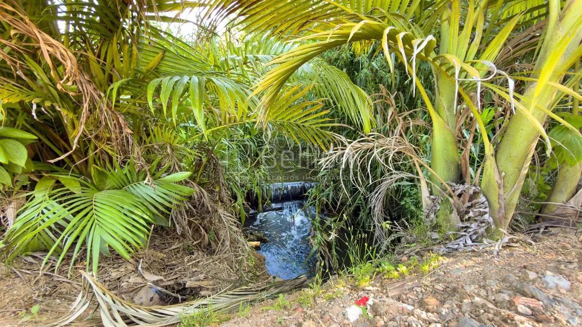 Sítio em Rodeio com ampla área e excelente potencial - Foto 2