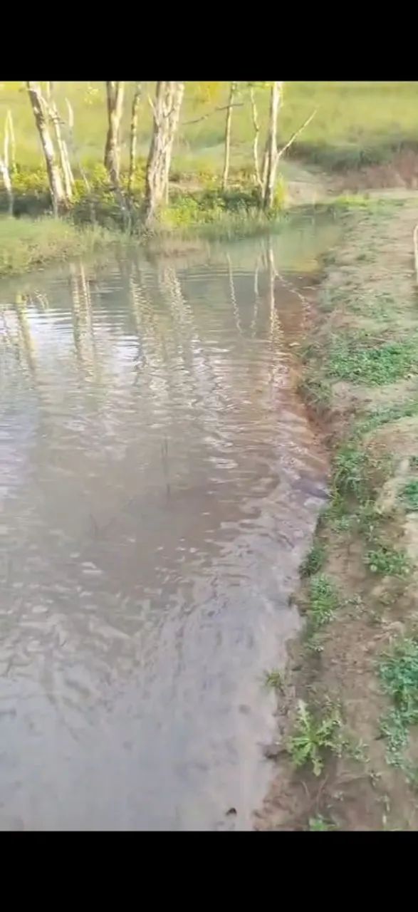 Sítio 