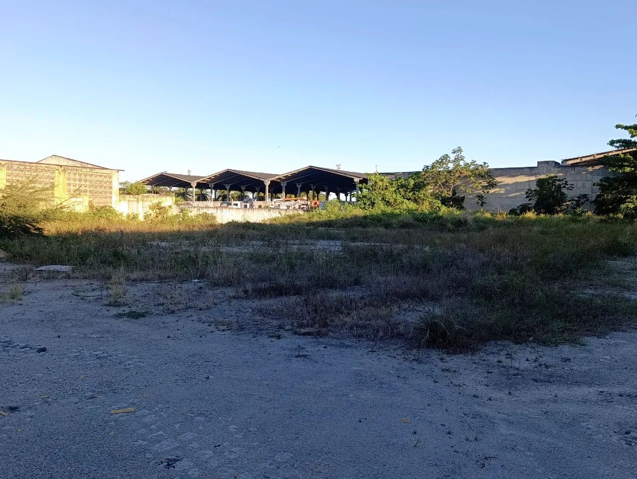 LIMPEZA GERAL, roçagem, poda, gadanhagem, coleta de resíduos e etc.. - Foto 3