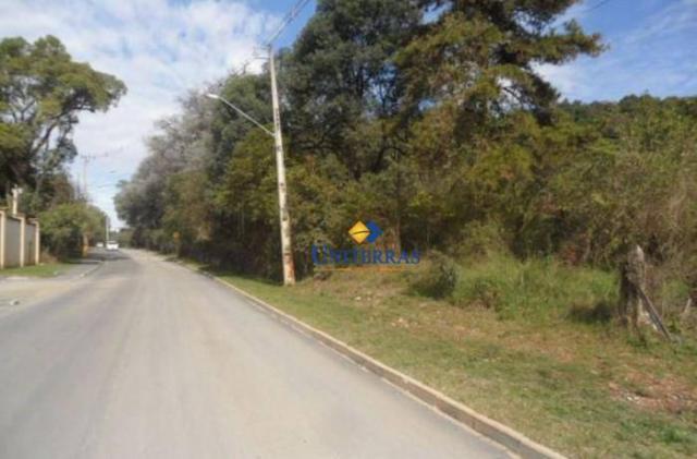 Terreno para venda em colombo no bairro são gabriel - Foto 17