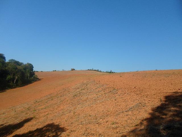6 alqueires de planta - Foto 5