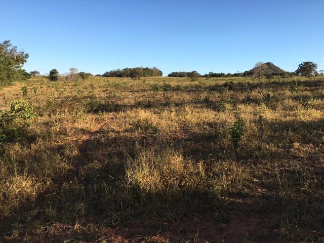 217 hectares, com 150 hectares aberto 32 km de Dom Aquino -MT - Foto 4