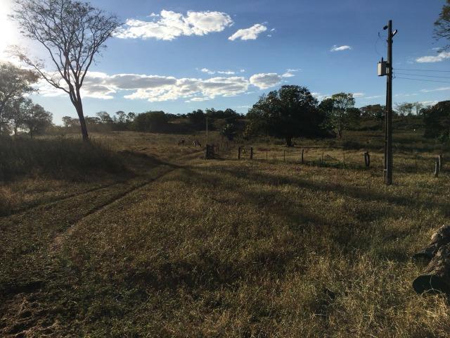 217 hectares, com 150 hectares aberto 32 km de Dom Aquino -MT - Foto 7