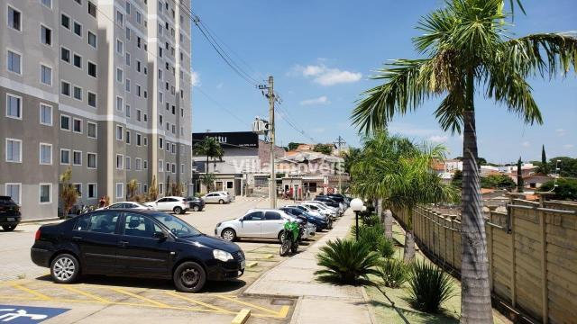Apartamento à venda com 2 dormitórios em Jardim nova europa, Campinas cod:AP007305 - Foto 2