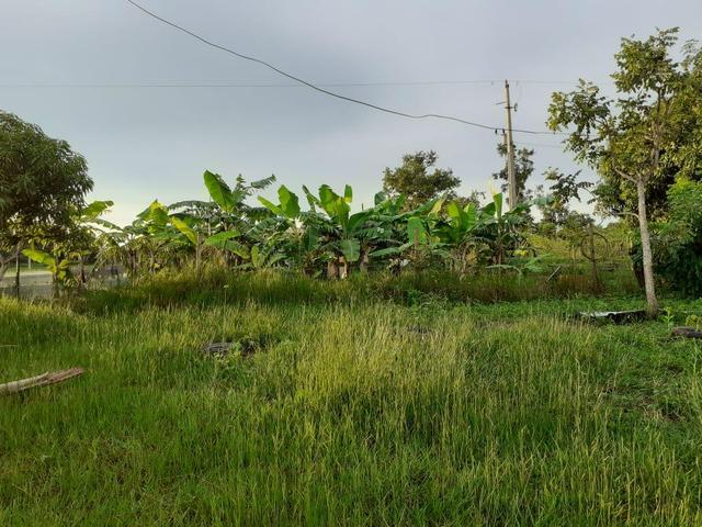 Sítio Jaciara/Dom Aquino - Foto 2