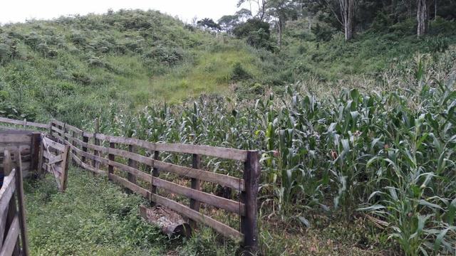Chácara na barra do Turvo