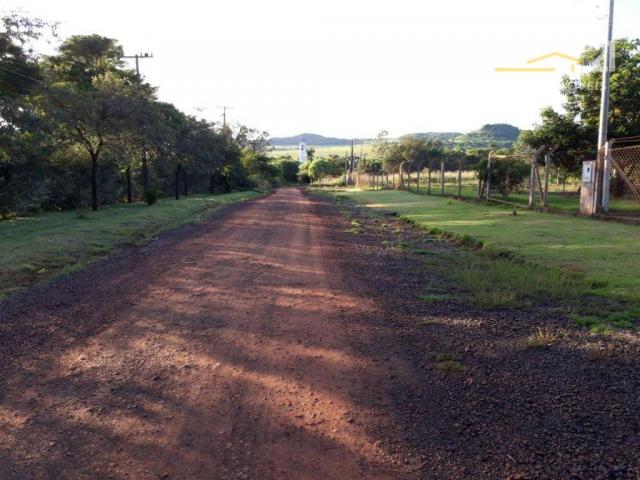 Chácara rural à venda, limoeiro, londrina. - Foto 12