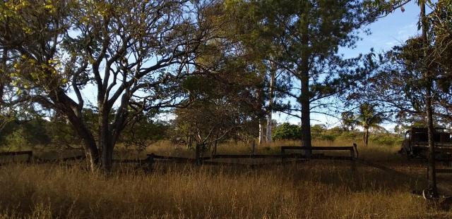 Propriedade de 98 hectares em Luziânia - Foto 6