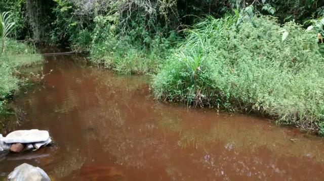 Fazendinha em Nilo Peçanha * - Foto 2