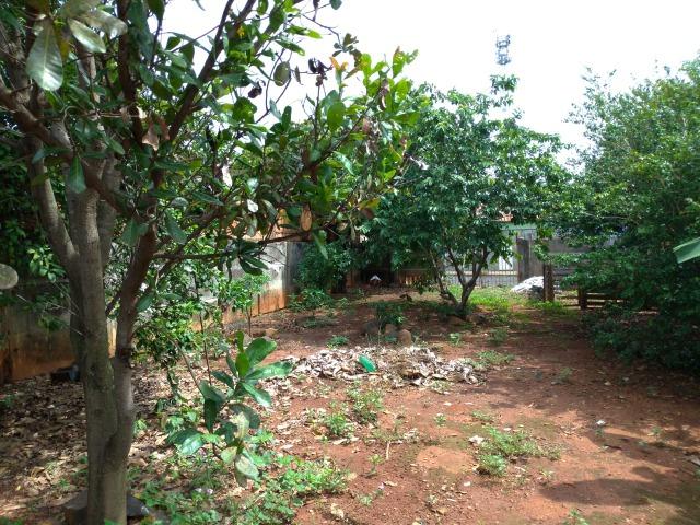 Terreno 300 m2 - bairro Santa Rosa - Uberlândia - Foto 4