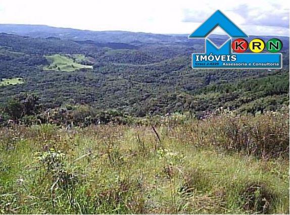 Área a Venda no bairro Bateias - Bateias (campo Largo), PR - Foto 4
