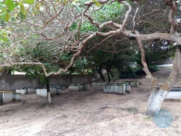 Terreno à venda em Lagoa do bonfim, Nísia floresta cod:10604 - Foto 13