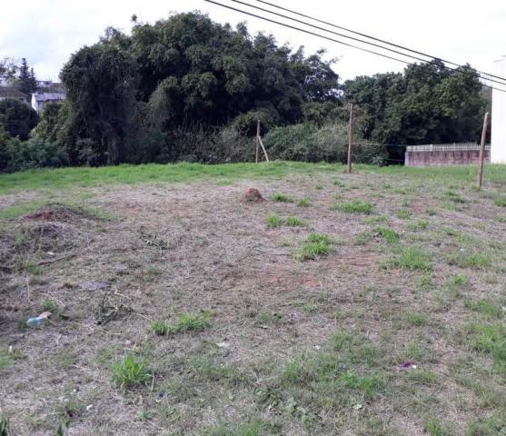 Terreno plano de barbada bairro guarani