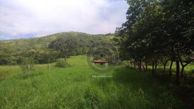 Sítio 20 ha região baú da guia mt - Foto 8