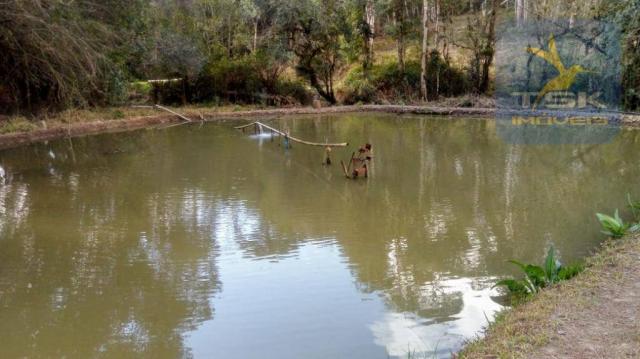 Chácara Rural/Comercial 1.500 m² Mandirituba frente estrada - Foto 16