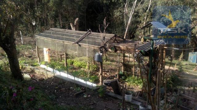 Chácara Rural/Comercial 1.500 m² Mandirituba frente estrada - Foto 4