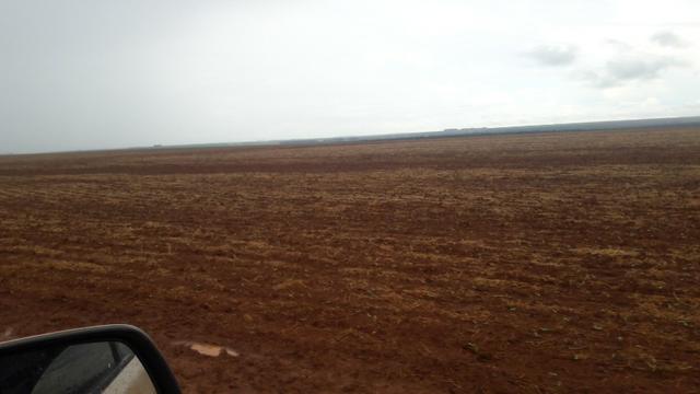 290 Hectares, lavoura mecanizada,Pecuária, Próximo BR-163