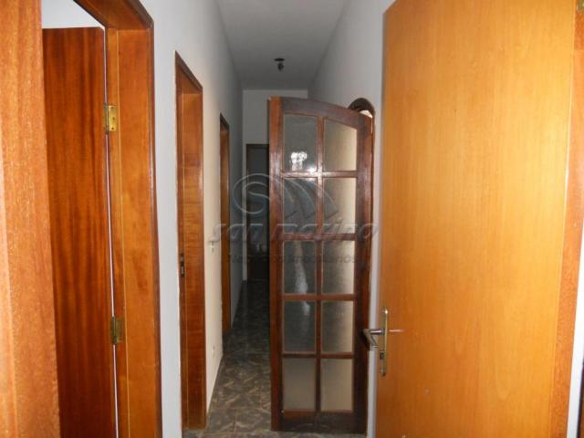 Casa para alugar com 3 dormitórios em Jardim brandi, Jaboticabal cod:L660 - Foto 11