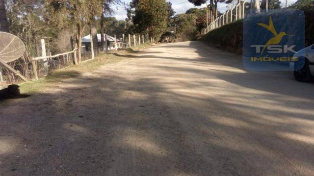 Chácara Rural/Comercial 1.500 m² Mandirituba frente estrada - Foto 3