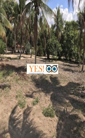 Terreno para Venda no SIM com área de 17.424,00m² - Foto 8