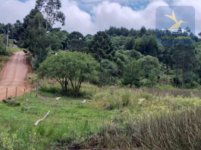 Chácara em Mandirituba - 12100 m² por R$ 210.000 - Zona Rural - Mandirituba/PR - Foto 5