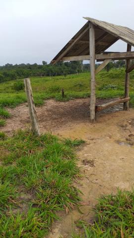 Fazenda - Foto 8