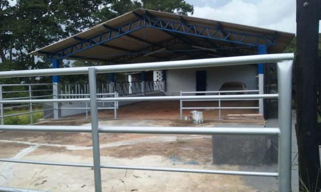 Fazenda - Foto 12