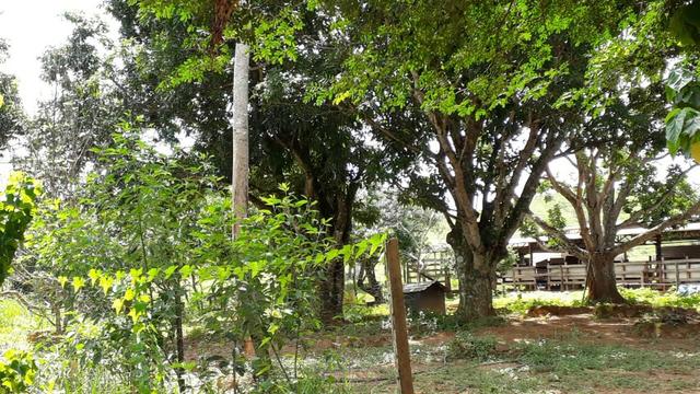 Fazenda Linda - Foto 13