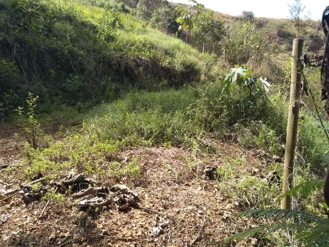 Terreno no Pitangueiras  - Foto 2